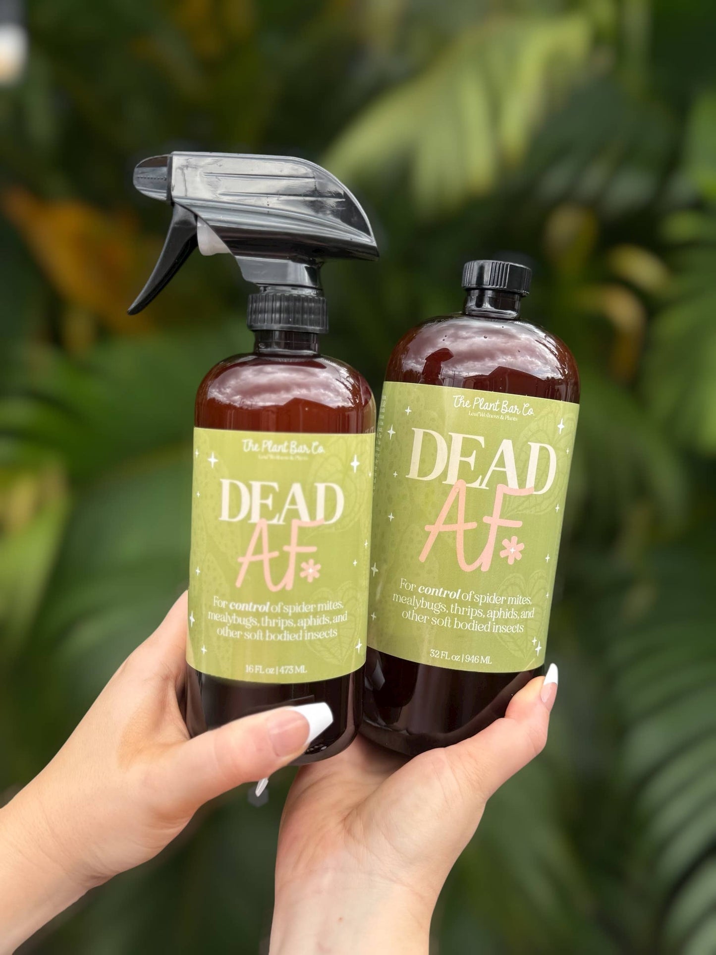 Dead AF - Houseplant Pest Control -Â 16oz