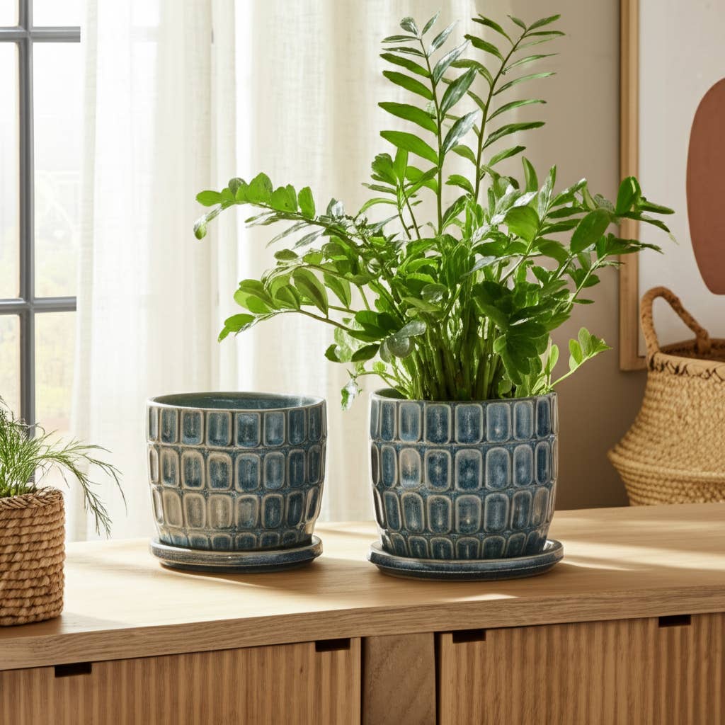 Blue 6 8 In Ceramic Squoval Saucer Planter Set Of 2