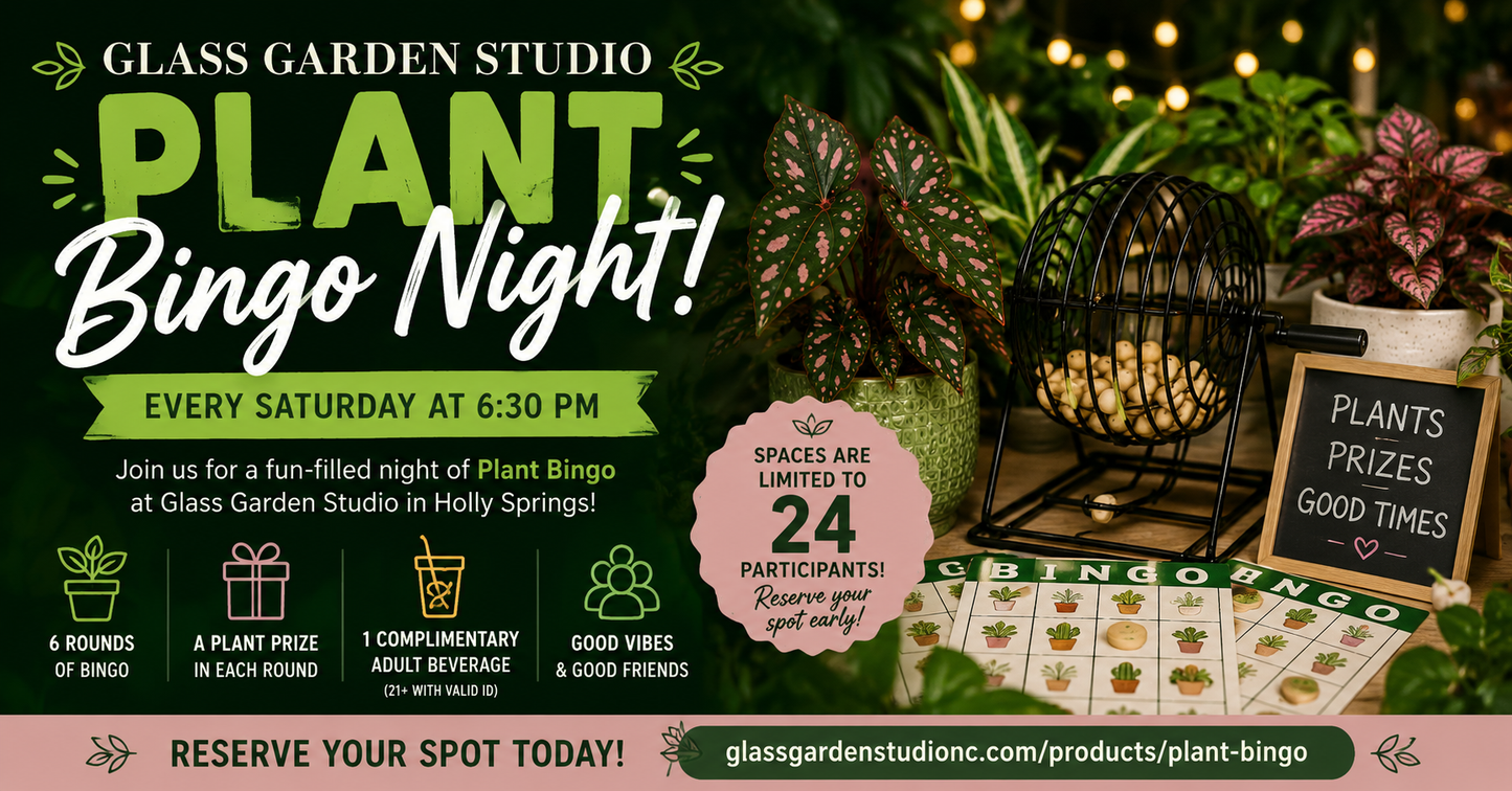 Plant Bingo!