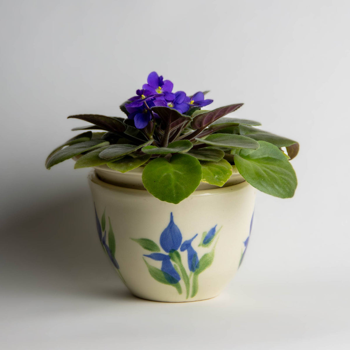 African Violet Pot Set - Glass Garden Studio