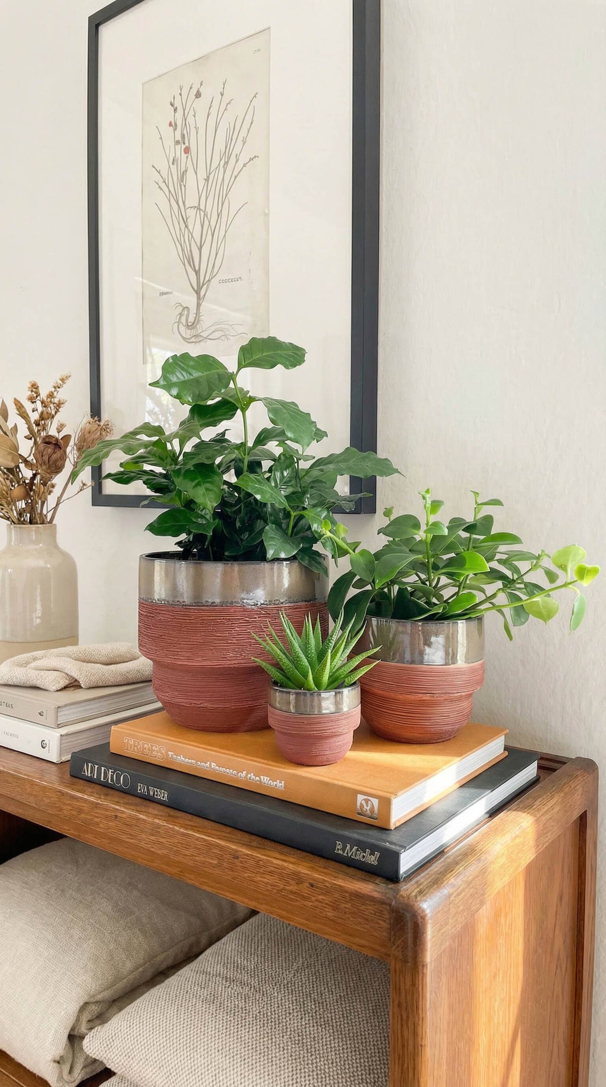 Ceramic Planter Pot, Two-Tone with Drainage - Freya - Glass Garden Studio