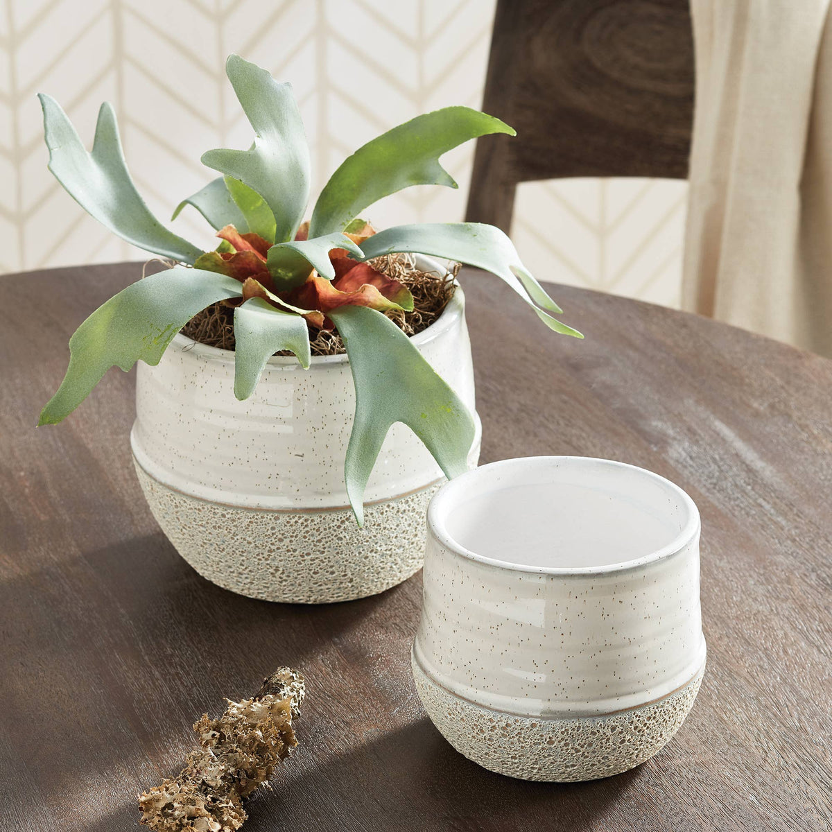 Dayton Pots, Set Of 2 - Glass Garden Studio