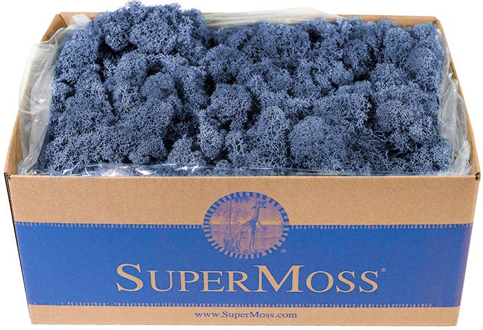 Reindeer Moss Preserved 3lb Bulk Box - Glass Garden Studio