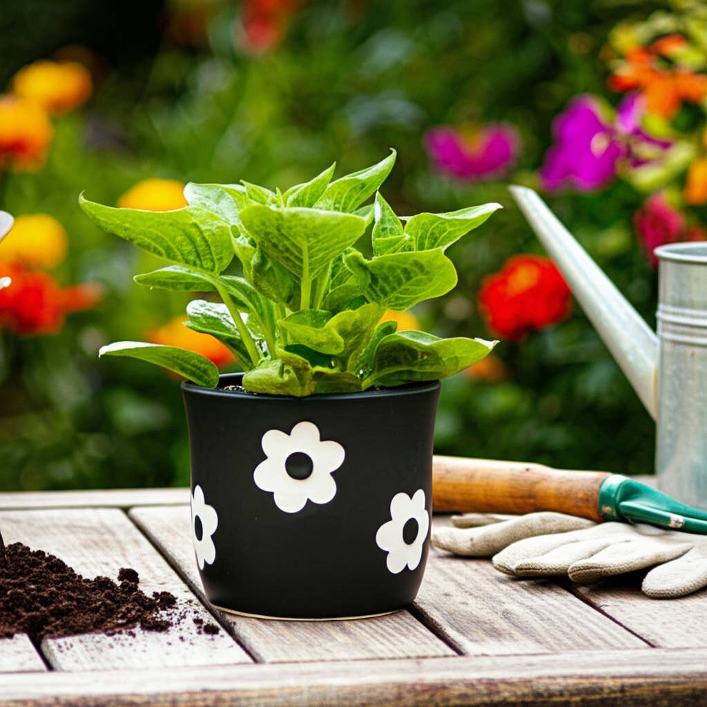 Plant Pot - Black/White Ceramic Raised Flower Power, 6 in.