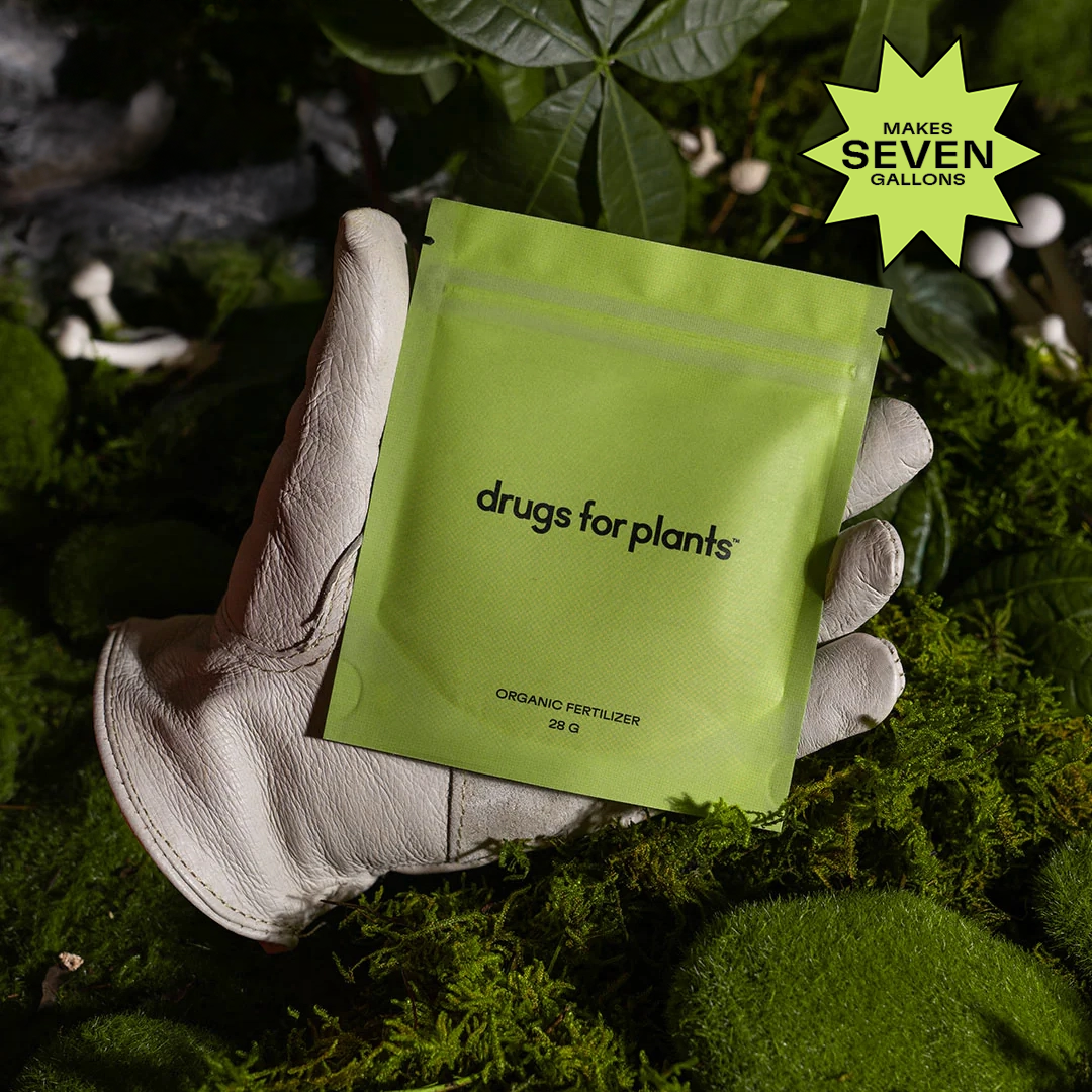 28G Pouch Of Organic Fertilizer Powder