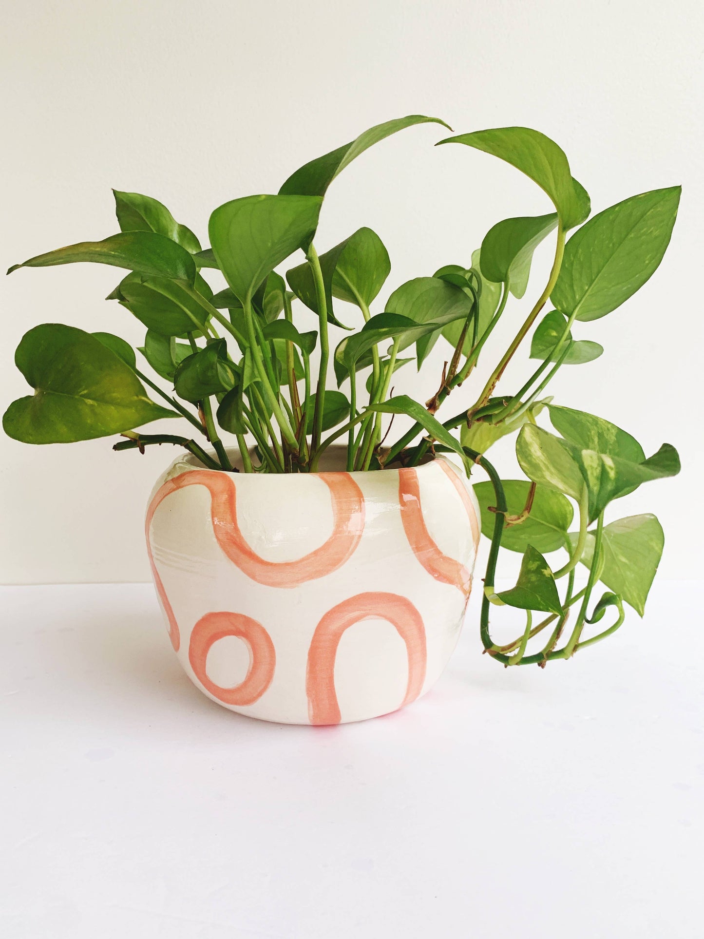 The Brady Planter