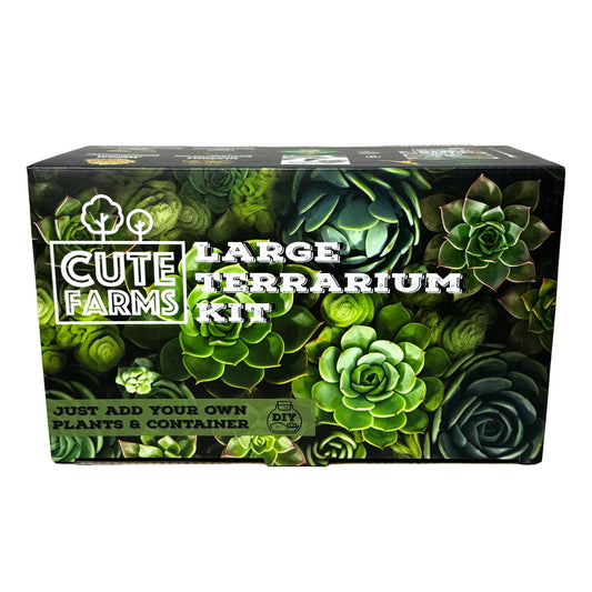 Kit Terrarium Large