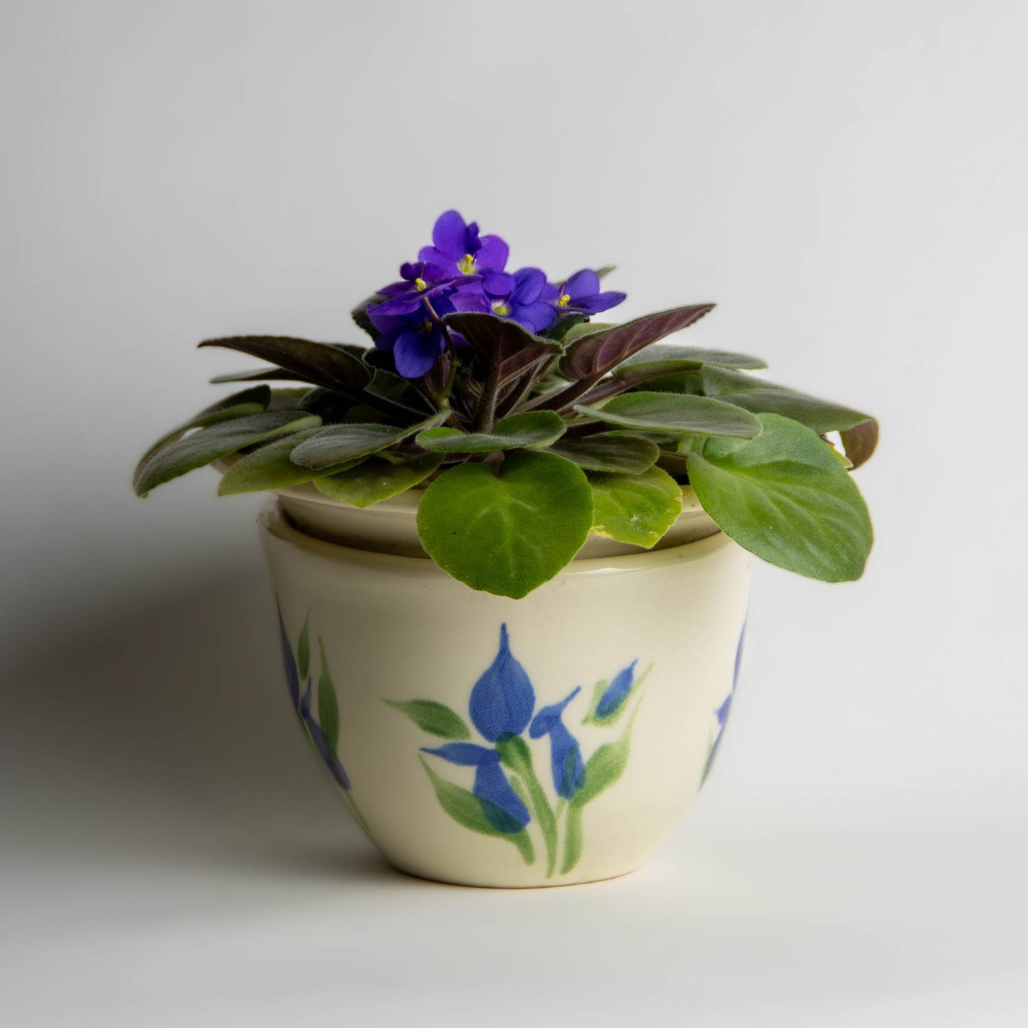 African Violet Pot Set