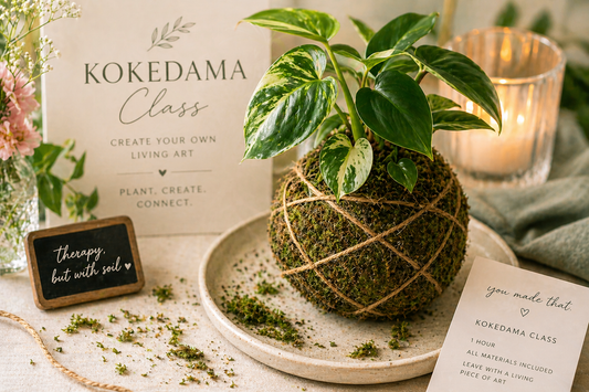 Kokedama Class - $25 Deposit