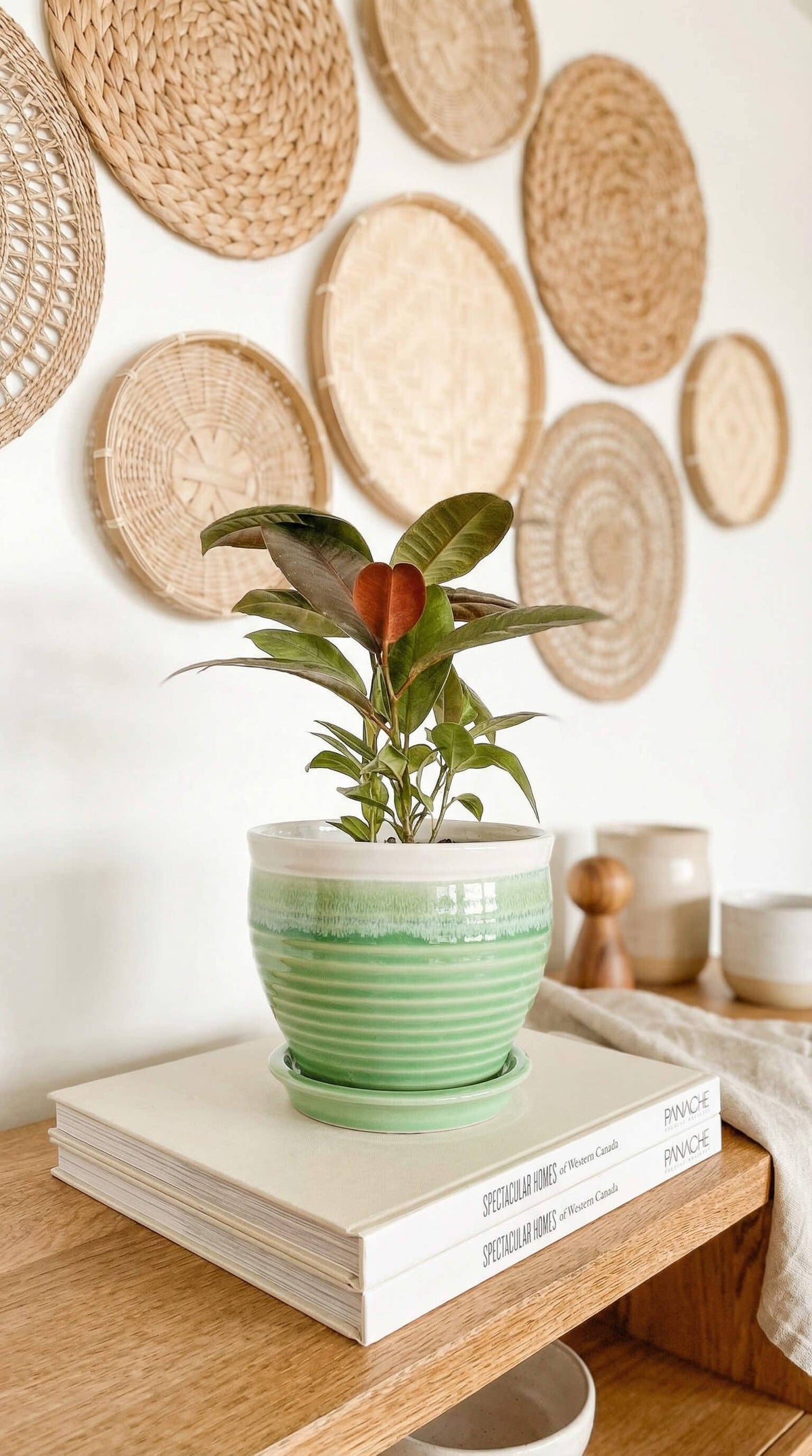 Ceramic Planter Pot, Green with Attached Saucer - Willow - Glass Garden Studio