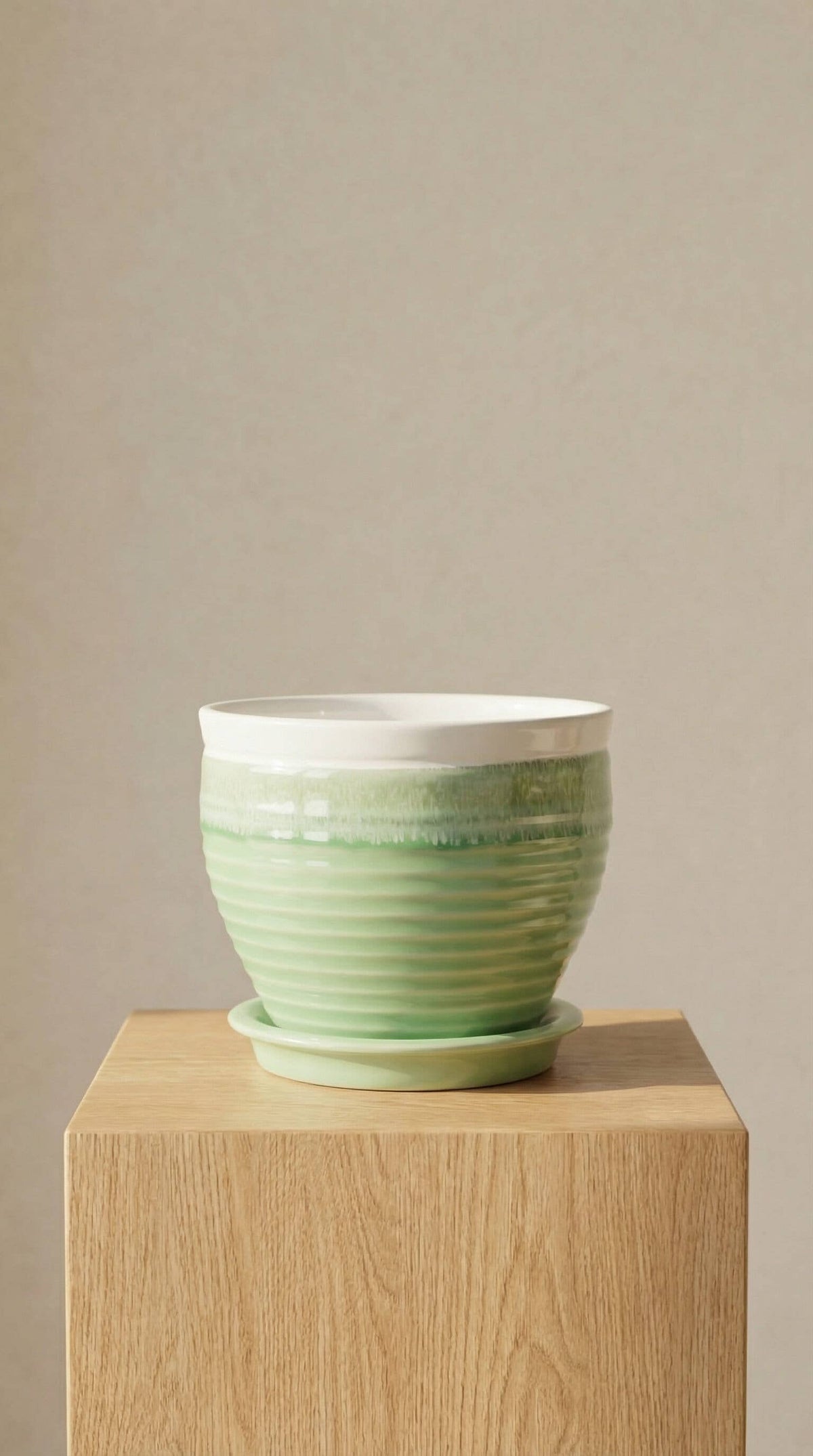 Ceramic Planter Pot, Green with Attached Saucer - Willow - Glass Garden Studio