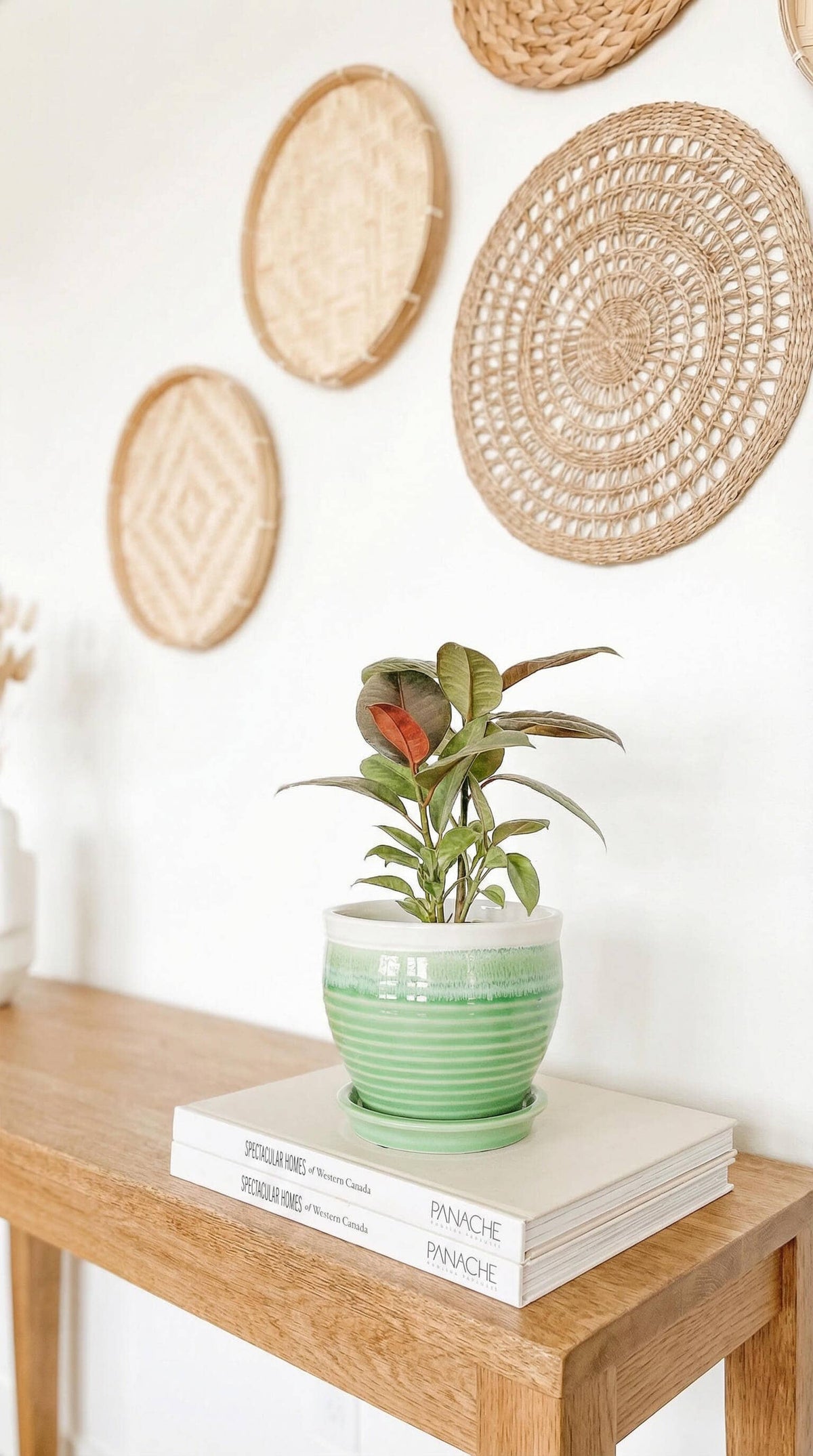 Ceramic Planter Pot, Green with Attached Saucer - Willow - Glass Garden Studio
