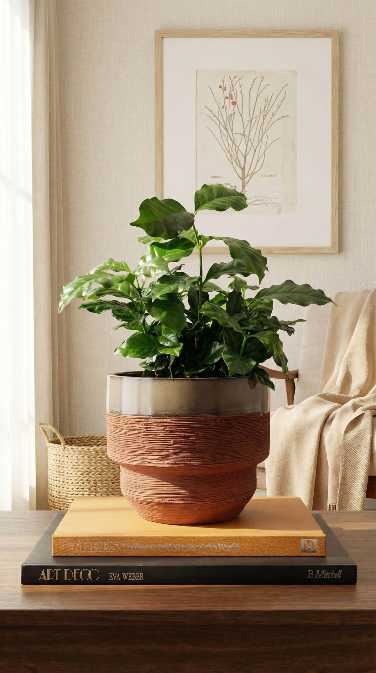 Ceramic Planter Pot, Two-Tone with Drainage - Freya - Glass Garden Studio