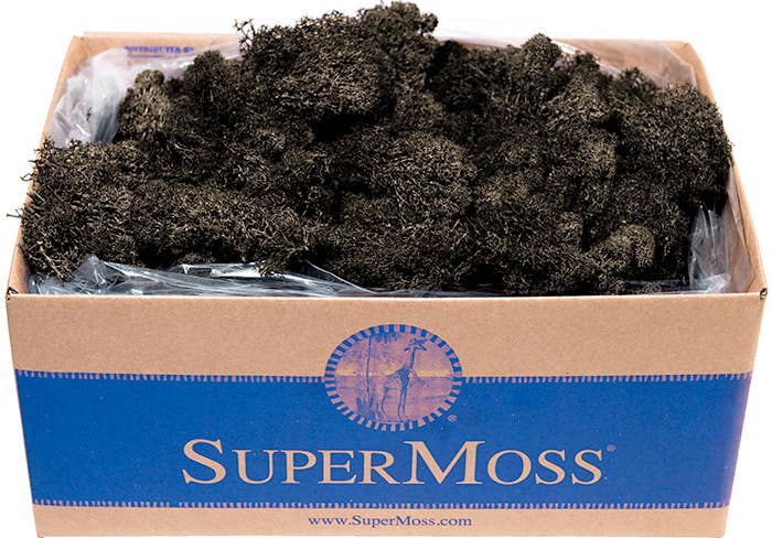 Reindeer Moss Preserved 3lb Bulk Box - Glass Garden Studio