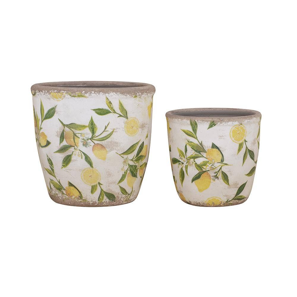 S/2 Citrus Grove Planters L:6.3x6.3x6" S:5x5x4.7" - Glass Garden Studio