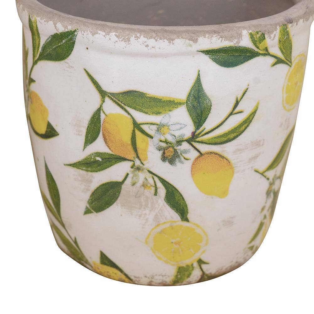 S/2 Citrus Grove Planters L:6.3x6.3x6" S:5x5x4.7" - Glass Garden Studio