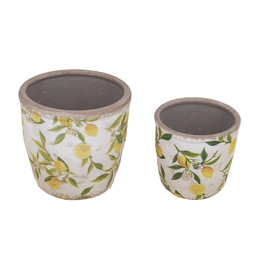 S/2 Citrus Grove Planters L:6.3x6.3x6" S:5x5x4.7" - Glass Garden Studio