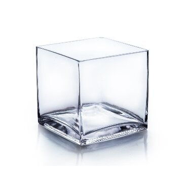 Terrarium Cube 7in - Glass Garden Studio