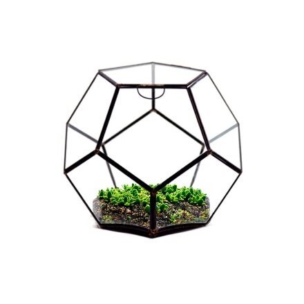 Terrarium Geo Circle 9in - Glass Garden Studio