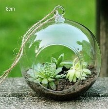 Terrarium Hanging Ball 6in - Glass Garden Studio