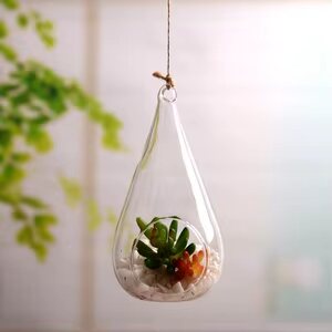 Terrarium Hanging Teardrop - Glass Garden Studio
