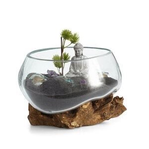 Terrarium Molten Wood 8in - Glass Garden Studio