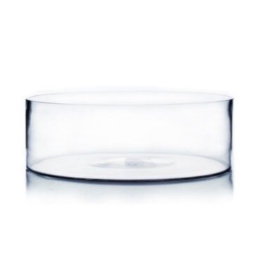 Terrarium Round Short 10in - Glass Garden Studio