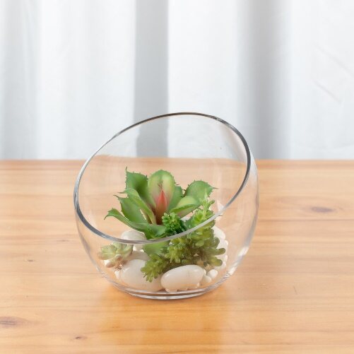 Terrarium Slant 7in (CLASS) - Glass Garden Studio